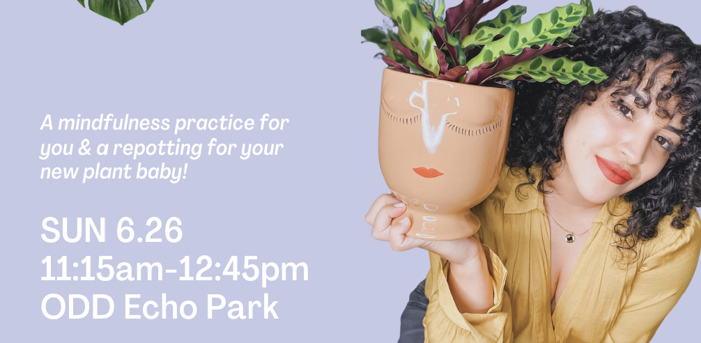 image of person holding plant promoting plant repotting workshop in echo park